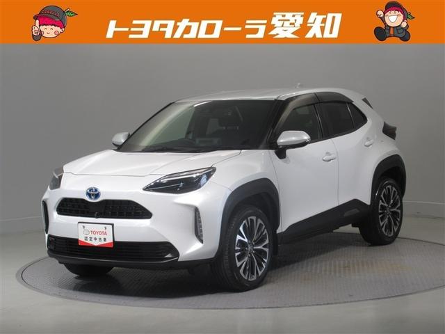 ȥ西 ꥹ ϥ֥åɣڡﳲڸƥࡡ꡼ʥӡХå