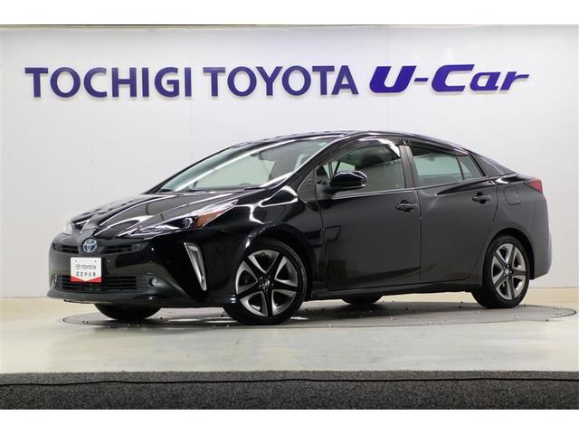 ȥ西 ץꥦ ӥġ󥰥쥯