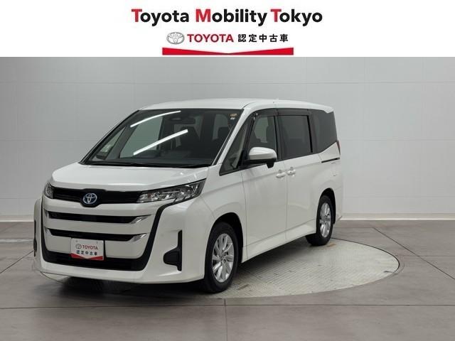 ȥ西 Υ ϥ֥åɣǡץ󡡥顼Хå˥ߥۥ