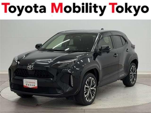 ȥ西 ꥹ ڡﳲڸ֥졼ѥХåɥ£襪ǥ