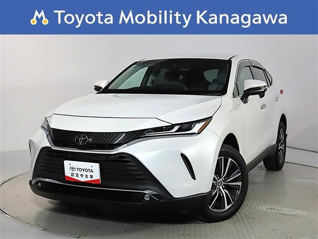 ʥƥꥢΥϥꥢͥƥåɥʥӡĥʡ 1