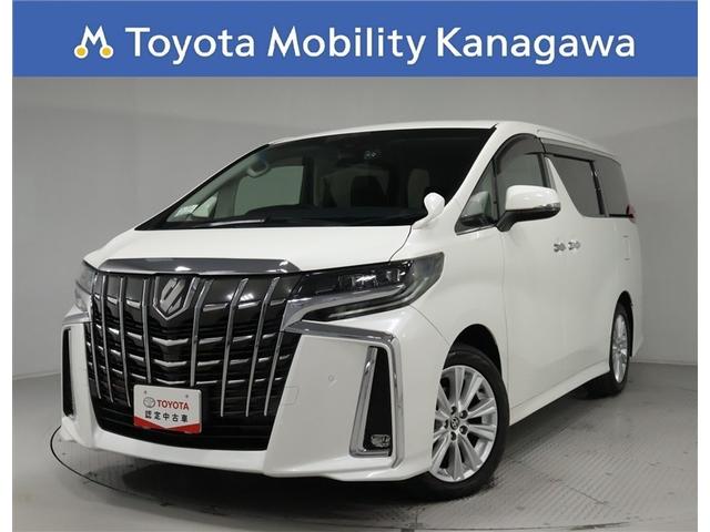 ȥ西 ե ӡȥ西ǧż֡ʥӡϥǥʥե륻