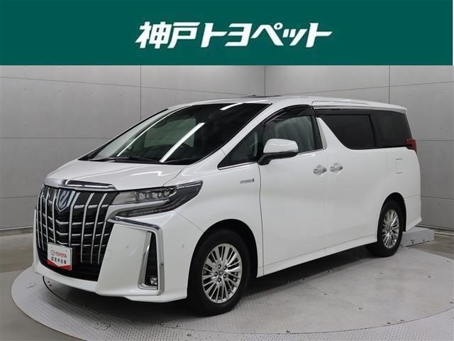 ¸ߴΤȤΥܥǥʥ˥롼աѥХåɥ 1