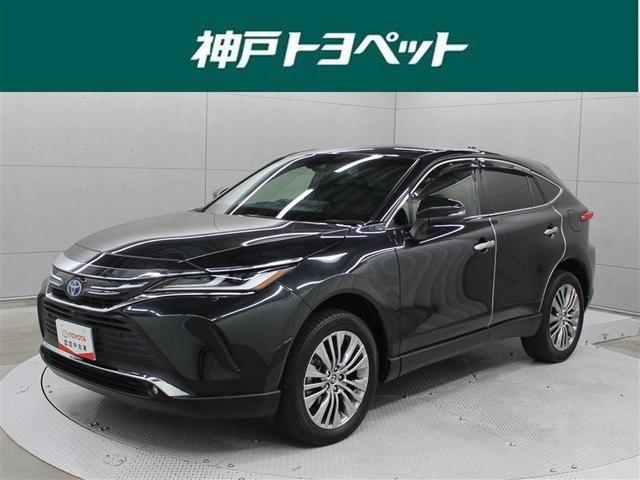 ȥ西 ϥꥢϥ֥å ڡե륻꡼ʥӡߥ塼åץ쥤䡼³