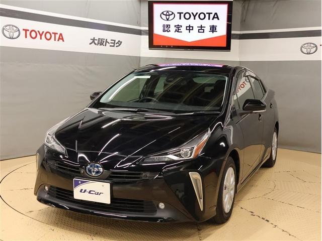 ȥ西 ץꥦ ӥեƥץ饹ɣɡ꡼ʥӡХå顡ﳲڸƥ