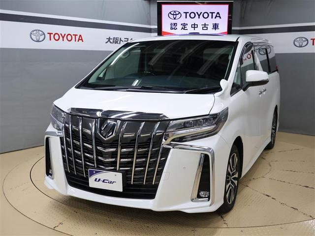 ȥ西 ե ӡåѥå롼ա꡼ʥ