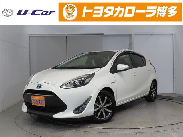 ȥ西  ǡȯǽХå˥ƥ