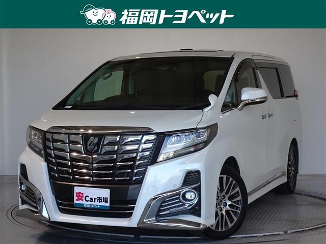 ȥ西 ե ӡåѥåﳲڸƥࡡ꡼ʥ