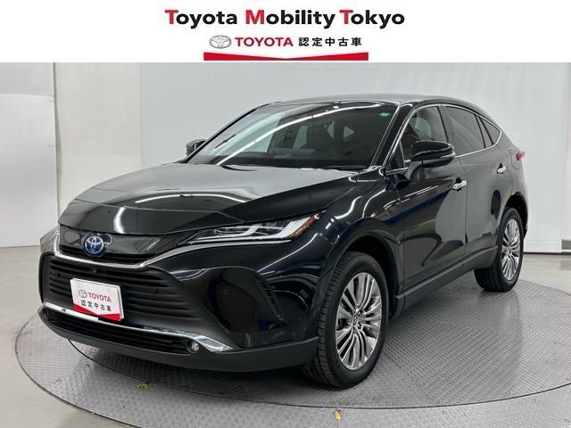 ȥ西 ϥꥢϥ֥å ڡѥΥߥå롼աϾǥ롡ﳲڸ