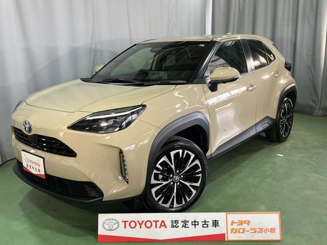 ȥ西 ꥹ ϥ֥åɣڡףġ꡼ʥӡХå