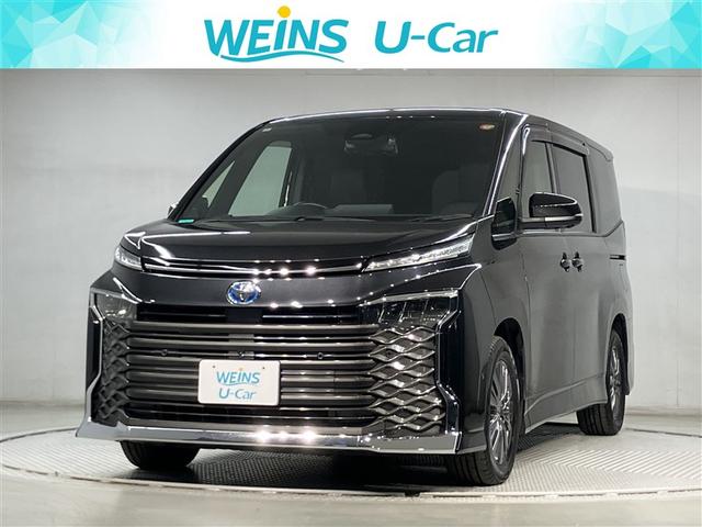 ڱƤޤ ա̡ŲϿ˸¤餻Ƥޤ 1