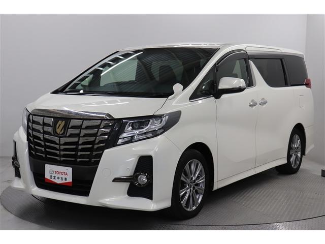 ȥ西 ե ӡѥåץ֥å֥륨