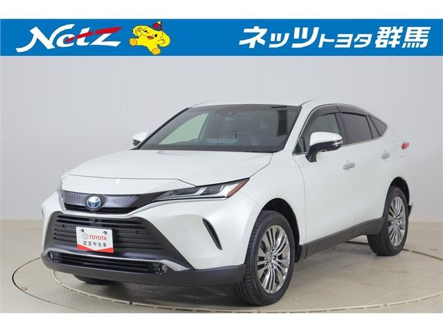 ȥ西 ϥꥢϥ֥å ڡãŸϾǥ롡ﳲڸ