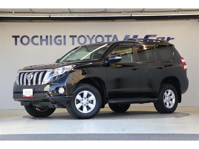 ȥ西 ɥ롼ץ ԣء̥ѥå