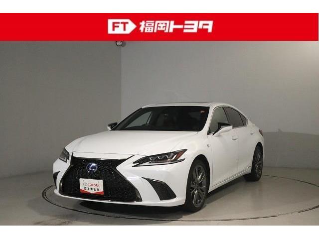 쥯 ţ ţӣ衡ƥݡġץȡ롼