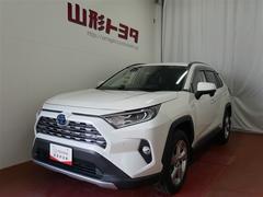 RAV4 ハイブリッドG 4WD フルセグ メモリーナビ DVD再生 バックカメラ 衝突被害軽減システム ETC LEDヘッドランプ 中古車画像