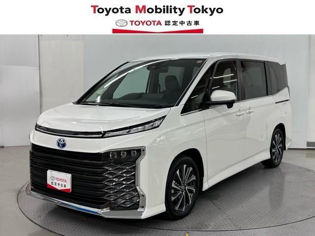 ԣåʥӡ륳󡡥ɥ쥳ư饤ɥɥ ŹϤ¿μҹʻߡ 1