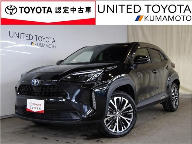 ǯԵΥ̵¤Υȥ西Ρԥ󥰥ݾڡդʤΤǰ¿Ƥĺ 1