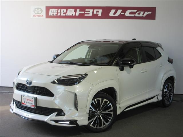 ǥ顼ż֥եƥХŸξڥɥեݡȡ 1