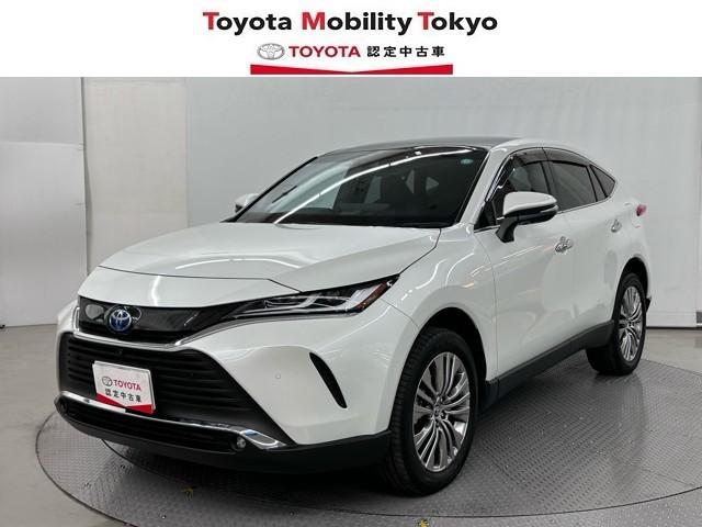 Τͽ򤪴ꤤפޤ ̡ա롦˸¤餻Ƥޤ 1