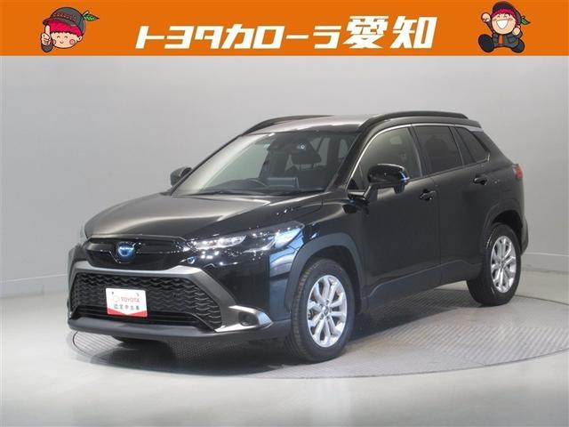 ȥ西 饯 ϥ֥åɡӡﳲڸƥࡡ꡼ʥ