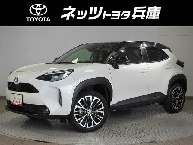 都市の真ん中でも、大地の上でも、軽やかに堂々と。いつでもどこでも輝きを放