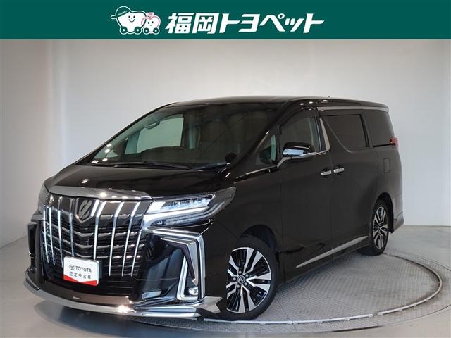 トヨタ人気の高級ミニバン☆モデリスタフルエアロ装備で足元キマってます♪