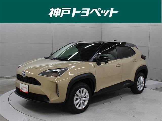 ȥ西 ꥹ ϥ֥åɣǡߥ塼åץ쥤䡼³ġХå顡ﳲڸƥ