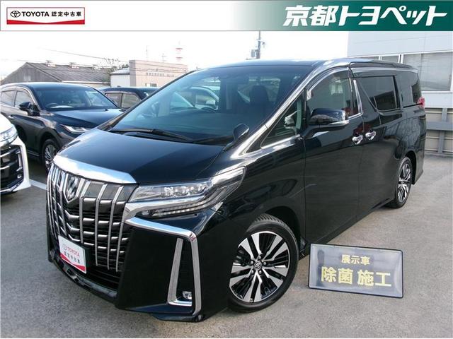 ȥ西 ե ӡåѥåȥ西ǧż֡ξưɥ