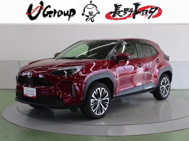 ꥹ ϥ֥åɣڡףġ꡼ʥӡߥ塼åץ쥤䡼³ 1201139A20251124T001 1