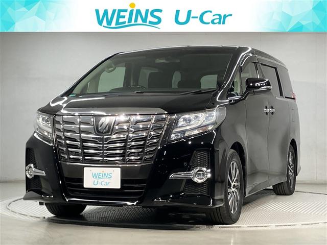 ȥ西 ե ӡåѥåʥ˥緿ե륻ʥӣԣ