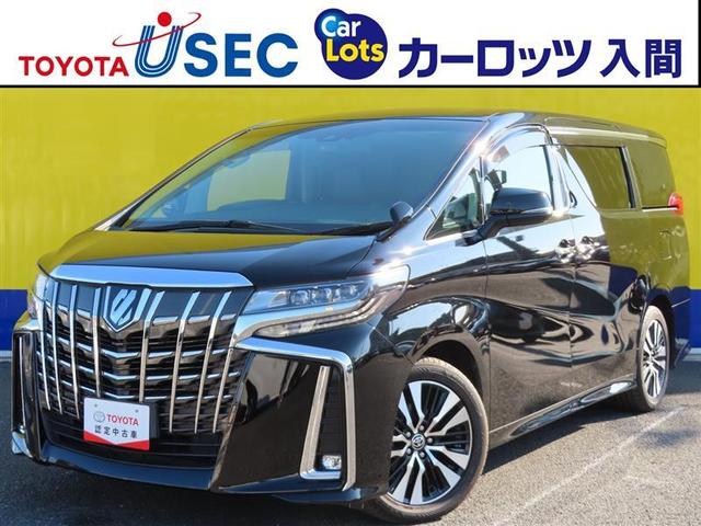 ȥ西 ե ӡåѥåξưɥܳ