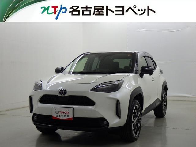 ȥ西 ꥹ ڡﳲڸƥࡡ꡼ʥӡХå