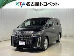 ȥ西եɡӡѥåﳲڸƥࡡ꡼ʥ