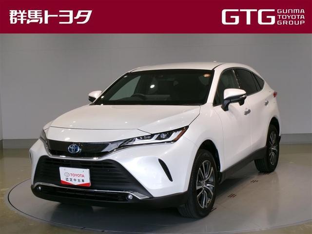 ȥ西 ϥꥢϥ֥å ǡե륻ߥ塼åץ쥤䡼³ġХå