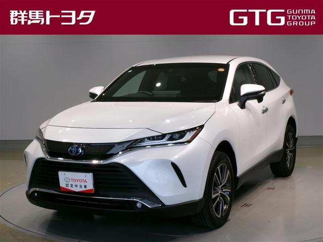 ȥ西 ϥꥢϥ֥å ǡե륻ߥ塼åץ쥤䡼³ġХå