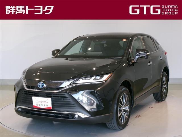 ȥ西 ϥꥢϥ֥å ǡե륻ߥ塼åץ쥤䡼³ġХå