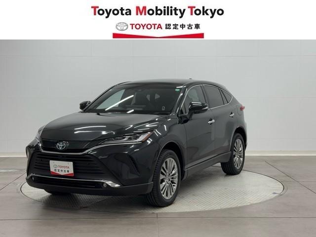 ȥ西 ϥꥢϥ֥å ڡ쥶ѥåѥΥޥ롼աŸ