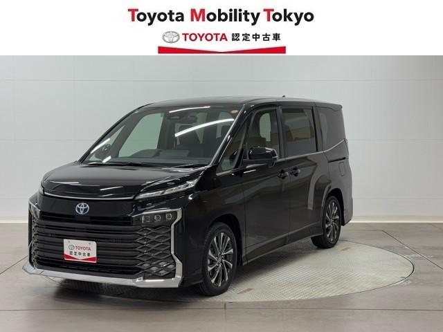 ԵΥ󣵣;ꡡХåɥ˥ţԣã 1