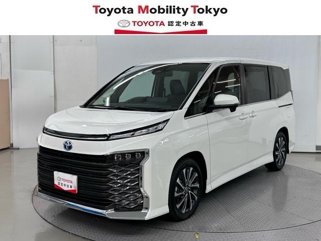 ݾդдǾäĺ룱Źǡ ҤǤա̡롦ؤȤʤޤ 1