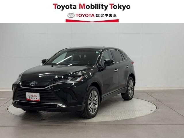 ̡ա롦˸¤餻Ƥޤ 1