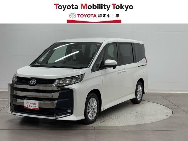 ȥ西 Υ ϥ֥åɣӡݣǡξưɥͲ֥졼֥륨