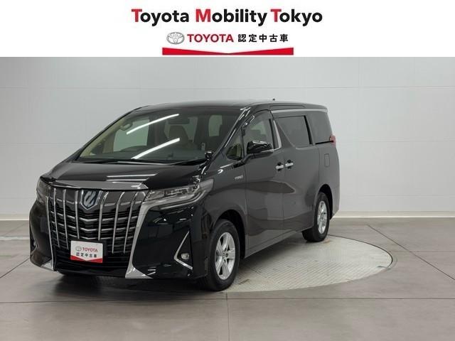 ȥ西 եɥϥ֥å ءξưɥ̣ţĥإåɥ饤ȡɥ쥳