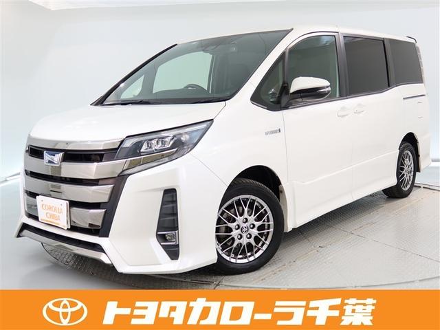 ȥ西 Υ ϥ֥åɣӣ顡ǯ̵ݾڡͲﳲڸæǽ