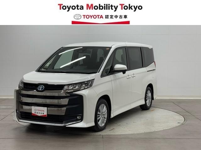 ȥ西 Υ ϥ֥åɣӡݣǡξưɥͲ֥졼֥륨