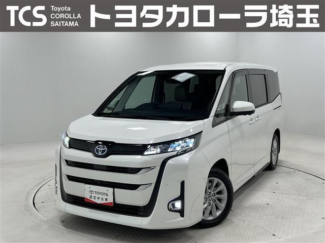 ȥ西 Υ ϥ֥åɣǡʥӡԣ֡ץ󡡥顼Хå˥