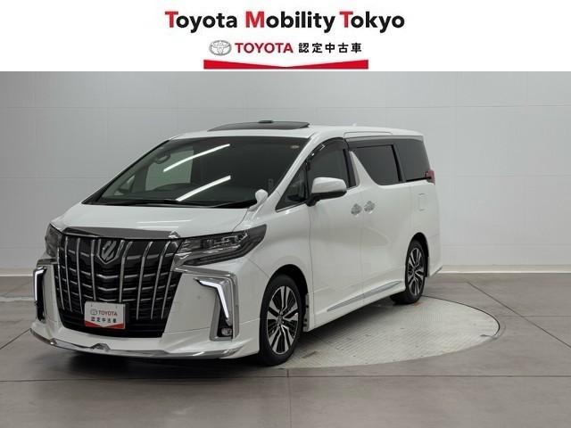 ȥ西 ե ӡåѥåξưɥ¥˥