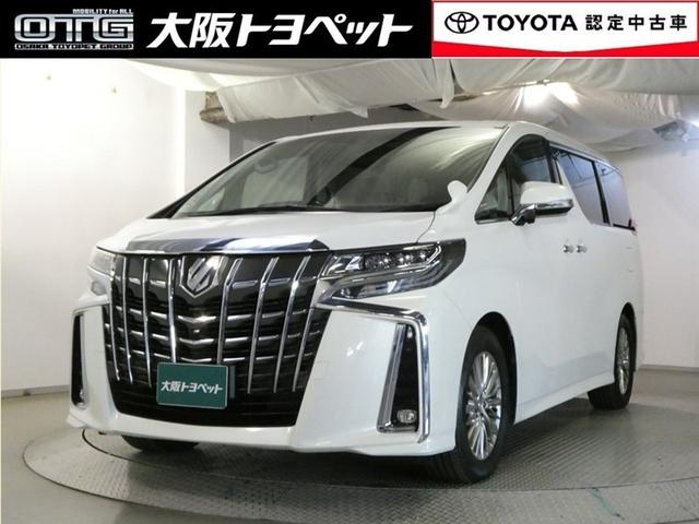 ȥ西 ե ӡåѥåξưɥϻ