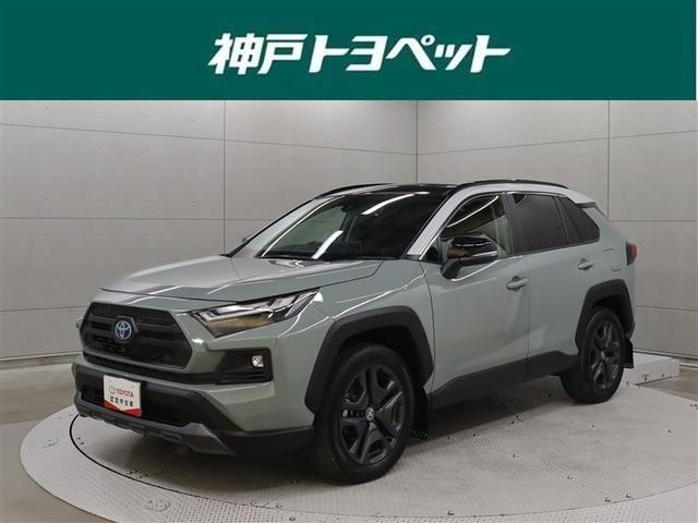 ϶ͥ줿ǽǳ̥ϡŬ¡ȣ֥ǥ 1