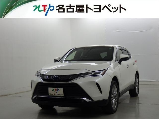 ϥꥢϥ֥å ڡﳲڸƥࡡ꡼ʥӡե륻 0200646A20251127T001 1